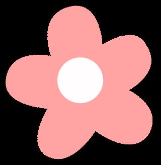 DƬ